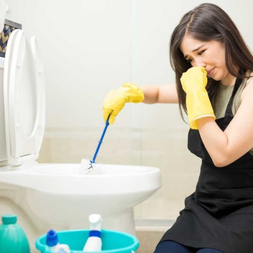 women_cleaning_toilet_bowl.jpeg