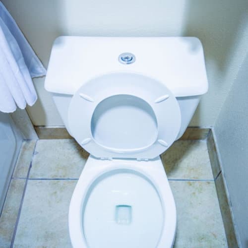 clean_toilet_bowl.jpeg