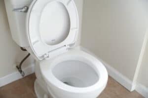 new_dual_flush_toilet.jpeg