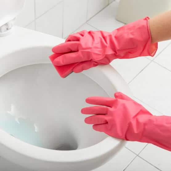 women_cleaning_toilet_bowl_with_gloves.jpeg