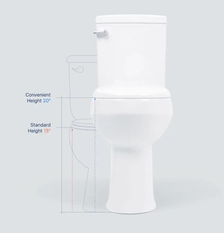 Elongated Vs Round Toilet Which One To, Difference Round Vs Elongated Toilet