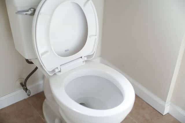 round_toilet.jpeg