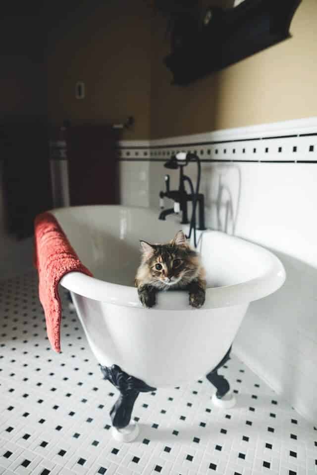 classic_bathtub.jpeg