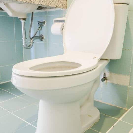 How to Paint Toilet Seat?( Cheap & Fast Solutions)