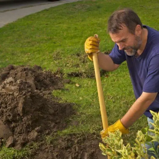 men_digging_ground_in_yard.jpeg