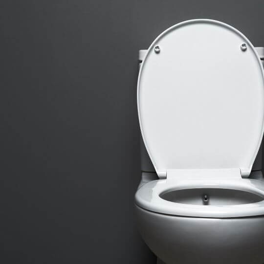 chair_height_toilet.jpeg