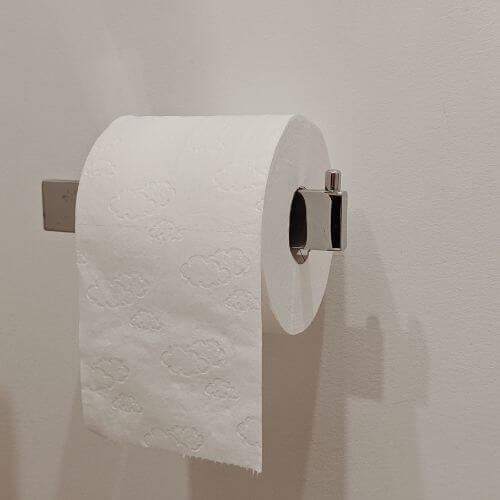 white_regular_toilet_paper.jpeg