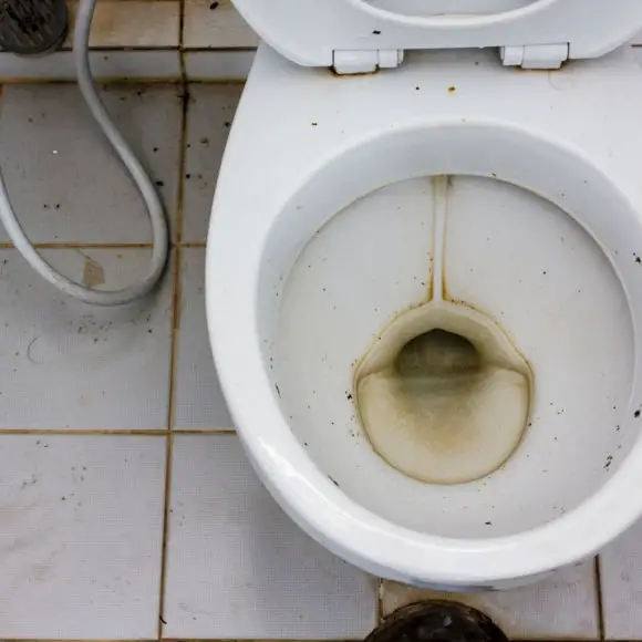brown_stain_in_toilet_bowl.jpeg