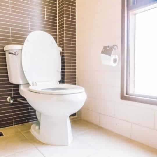 new_american_standard_toilet_bowl.jpeg