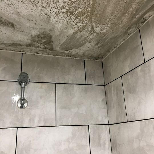 mold_on_shower_ceiling.jpeg